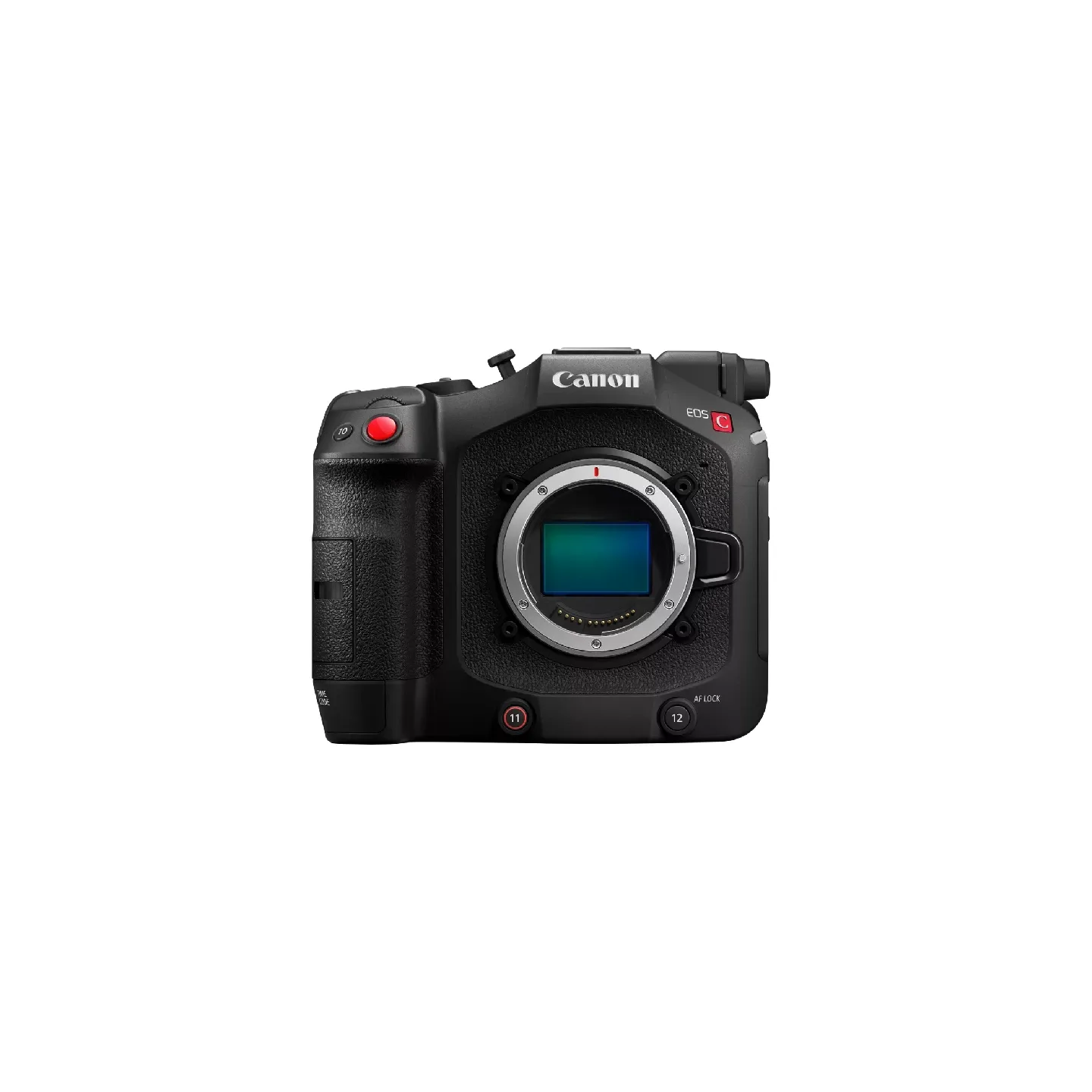 Camcorder Canon C80
