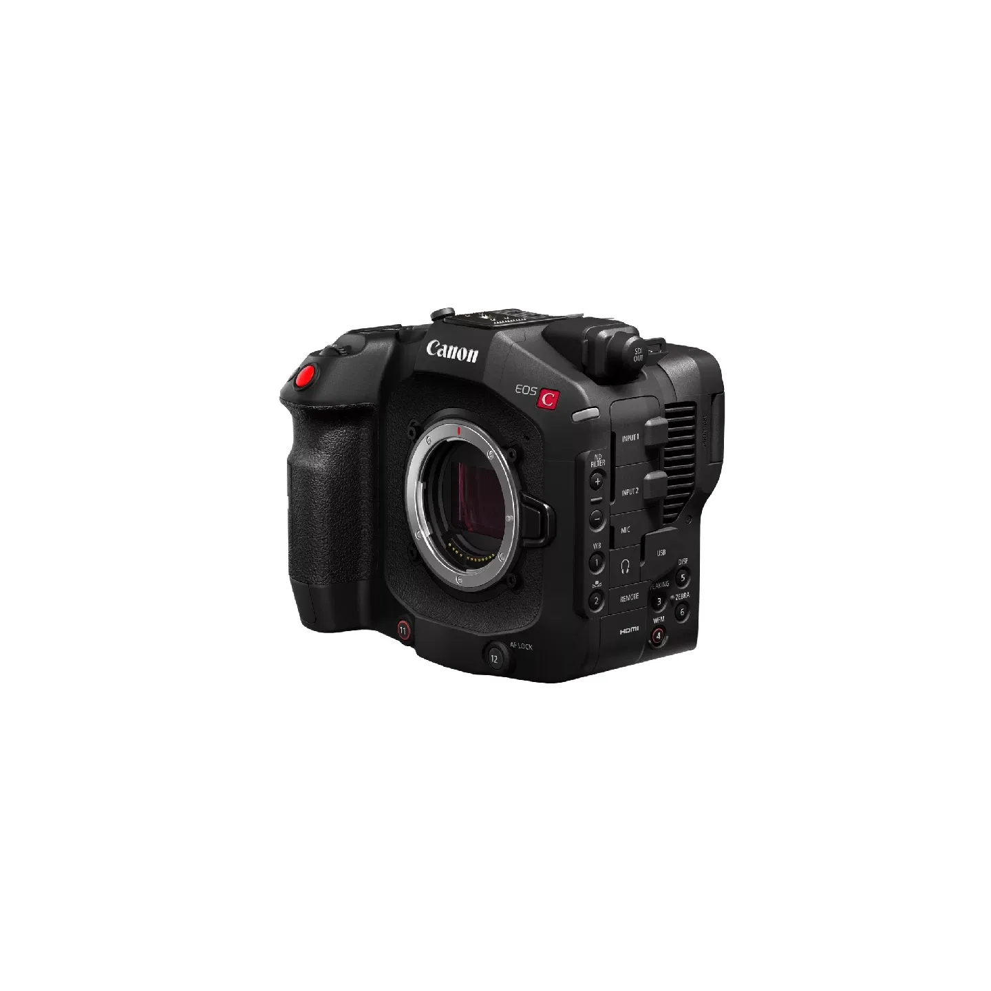 Camcorder Canon C80