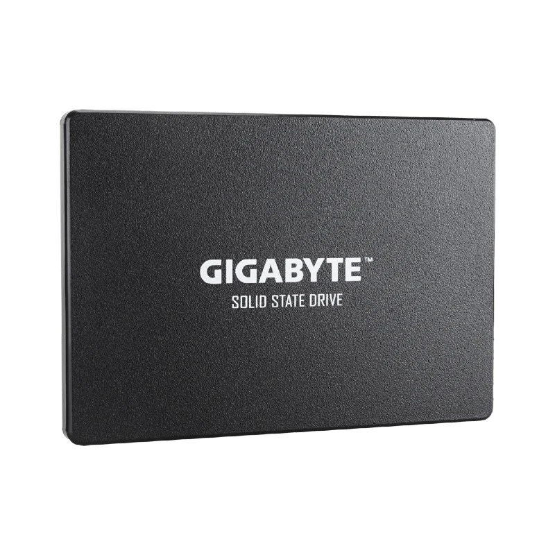 SSD Gigabyte GSTFS31256GTND-G12 256GB SATA
