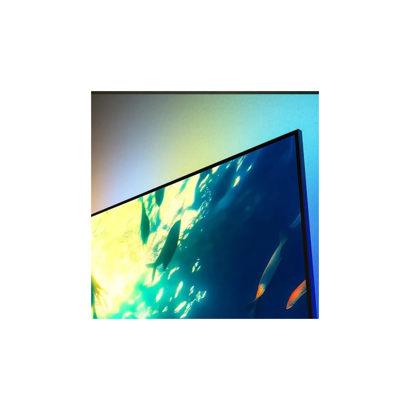 Philips TV 65PUS8010/12 LED 65'' (165cm) 4K