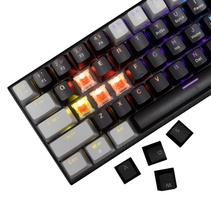 White shark gaming tastatura Wakizashi mehanička Red SW US crno-siva