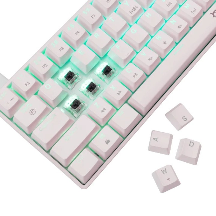 White shark gaming tastatura Shinobi mehanička Brown SW US Bijela