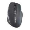 Canyon miš CNS-CMSW21DG wireless