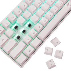 White shark gaming tastatura Shinobi-2 mehanička brown SW bijela