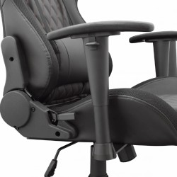 White Shark Gaming Stolica THUNDERBOLT RGB osvjetljenje, crna