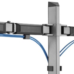 White shark nosač za monitor Amenhotep II