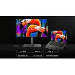 BENQ monitor 32 PD3225U