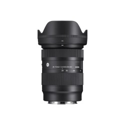 Sigma AF 28-70MM F/2.8 DG DN (C) F/Sony