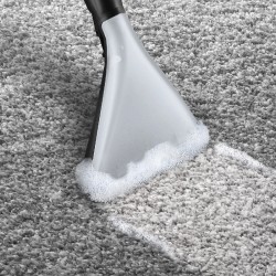 Usisivač Bosch BWD421PET