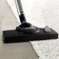 Bosch usisivač ProAnimal BWD421PET mokro i suho usisavanje, crveni