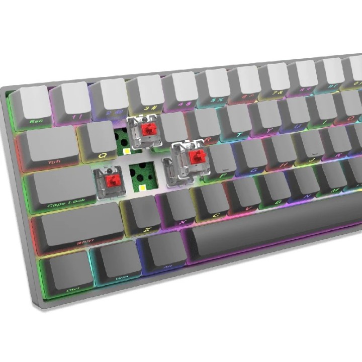 White shark gaming tastatura Nunchaku mehanička red SW US Siva