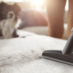 Philips usisivač XD8142/12 s vrećicom