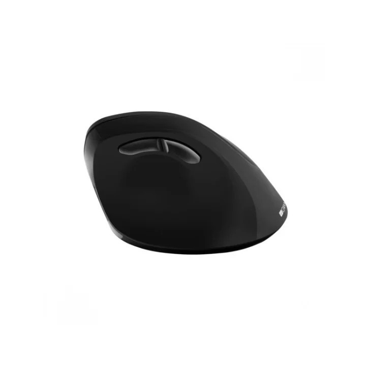 Canyon miš CNS-CMSW16B bežični vertikalni