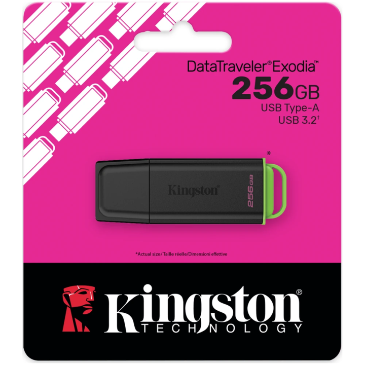 Kingston USB 3.2 stick Exodia 256GB DTXG2/256GB