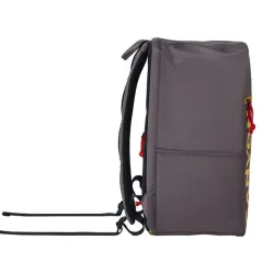 Canyon putni ruksak za laptop CSZ-02 15.6'' sivi