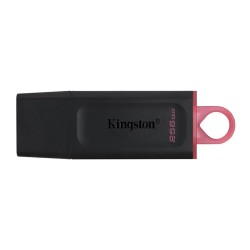 Kingston USB3.2 stick Exodia 256GB DTX/256GB
