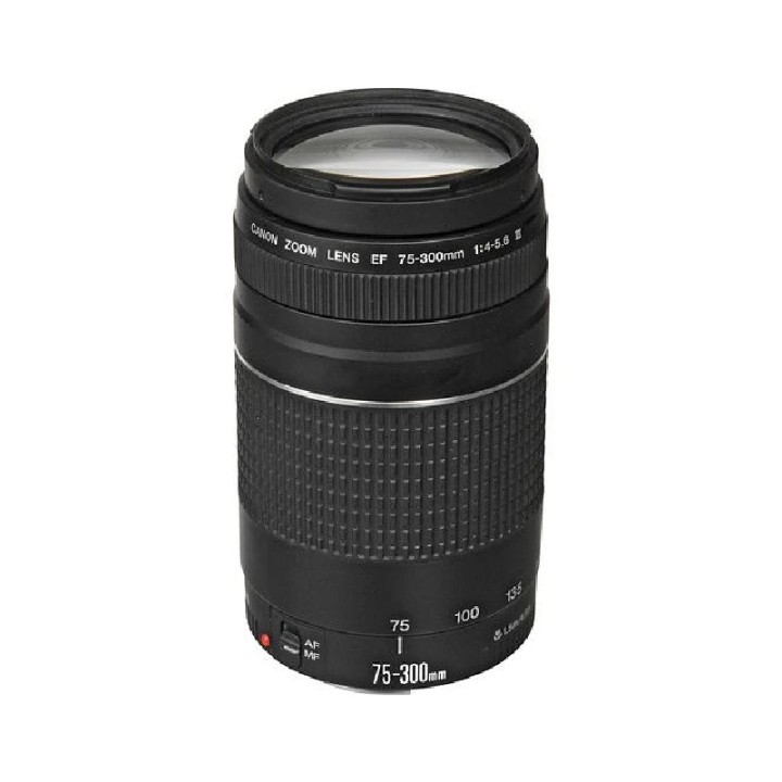 Canon objektiv EF 75-300mm/1:4,0-5,6 III
