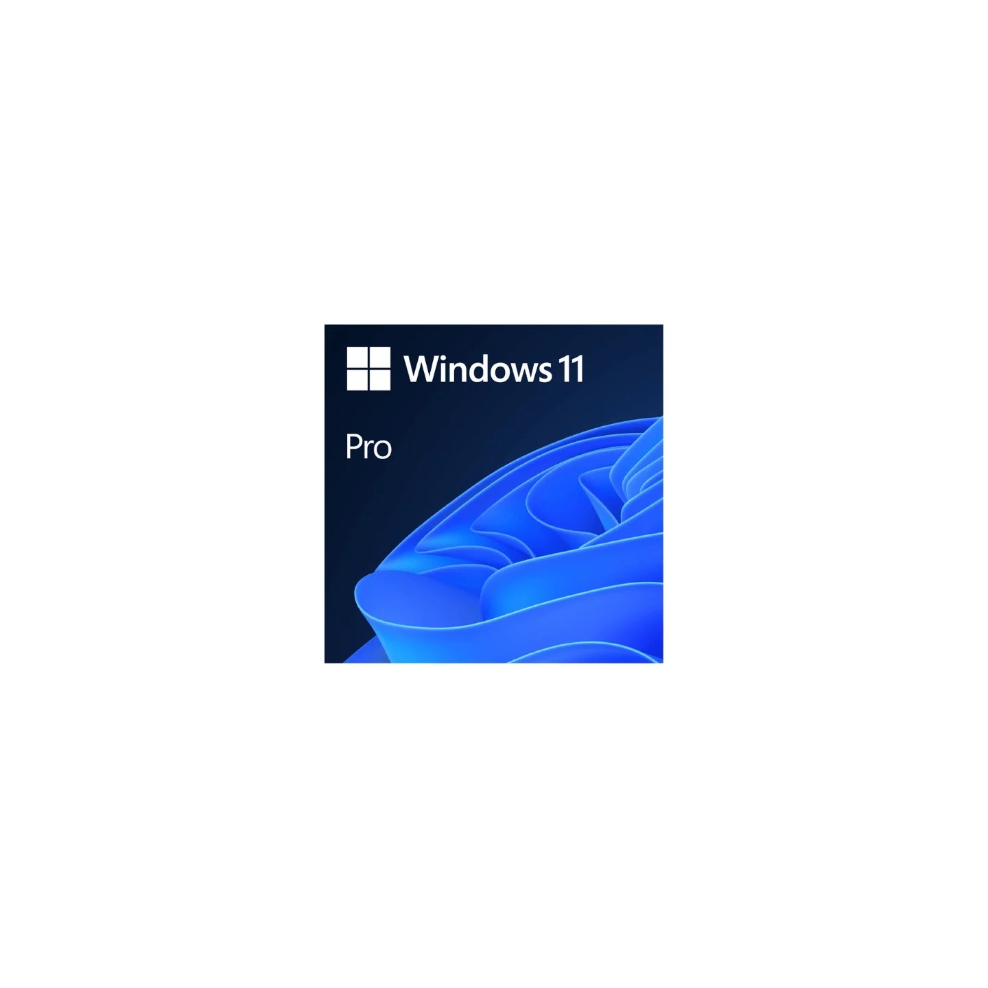 Microsoft Windows 11 PRO OEM
