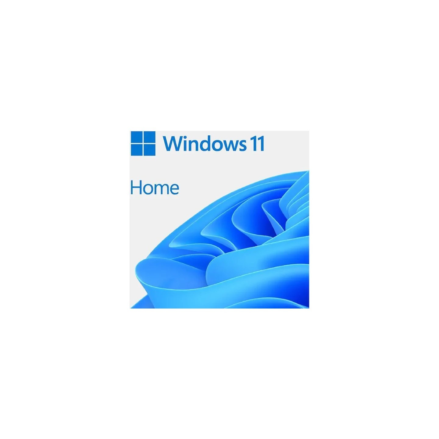 Microsoft Windows 11 Home OEM