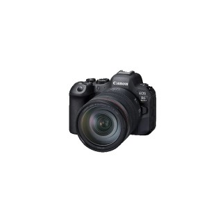 Canon EOS R6 Mark II + RF 24-105mm f/4-7.1 IS STM