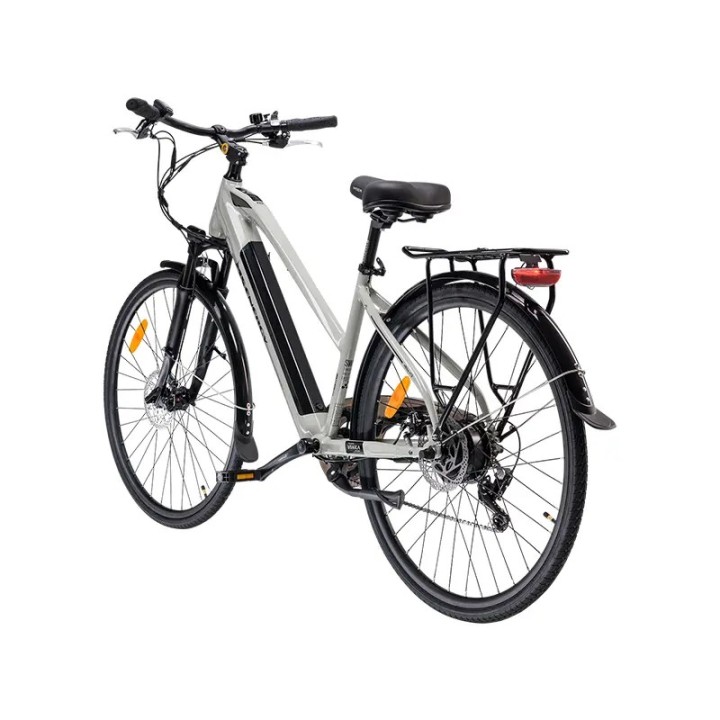 MS ENERGY električno biciklo eBike c12