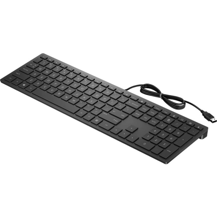 HP tastatura 300 USB (4CE96AA)
