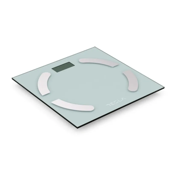 Vaga digitalna Tesla BS301WX