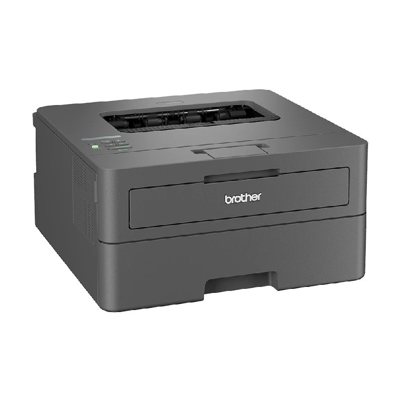 Printer Brother HL-L2442DW