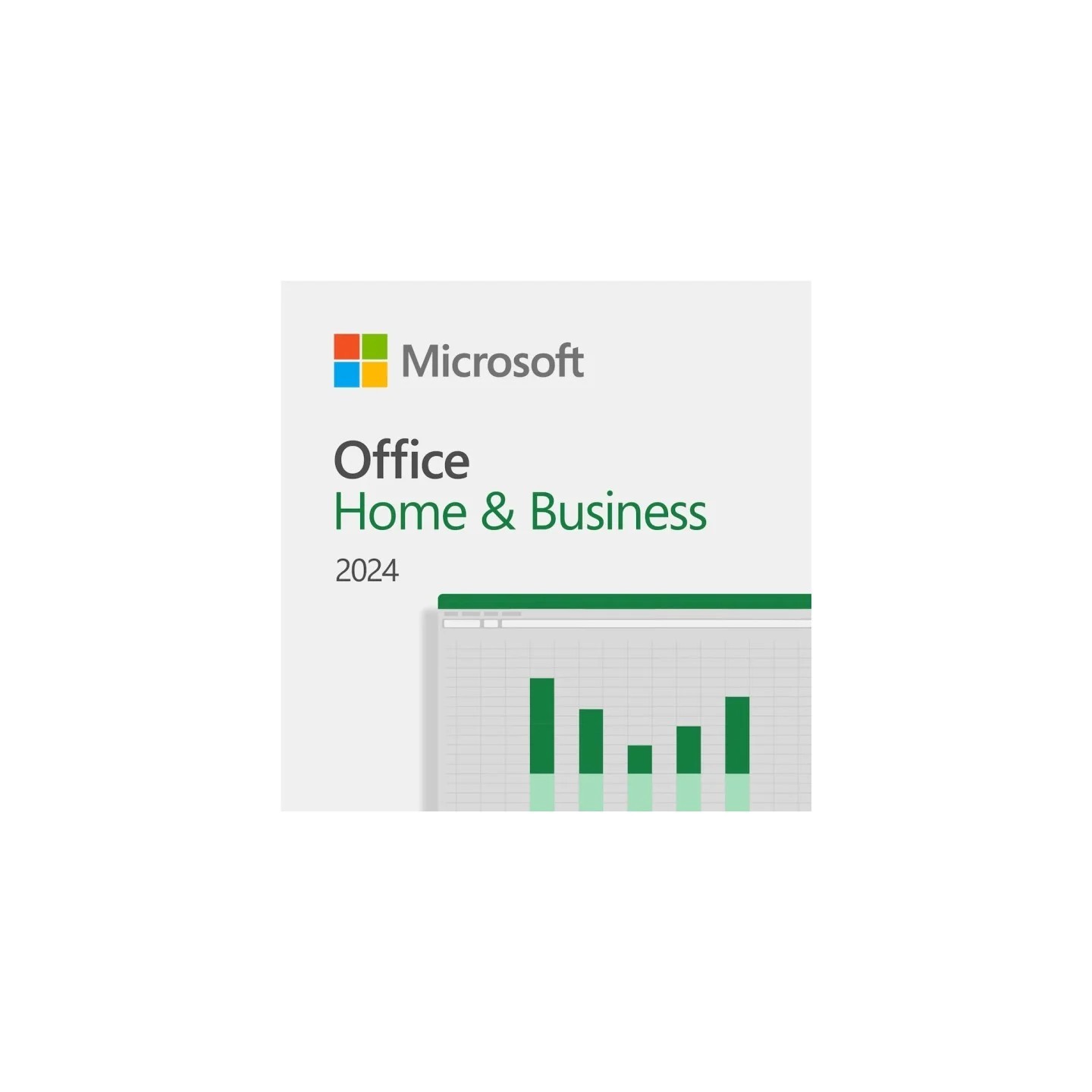 Microsoft Office Home and Business 2024, FPP
